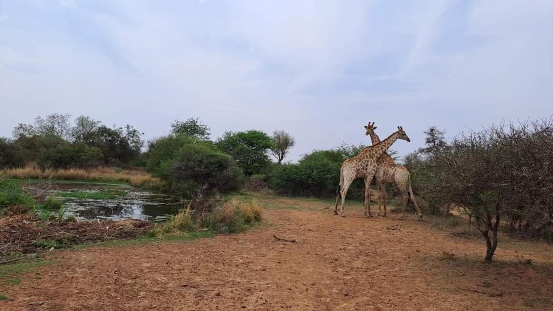 Thirty-three Dinokeng Big 5 Farm stay Klipdrift